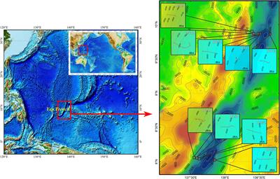 Megafaunal Community Structure From the Abyssal to Hadal Zone in the Yap Trench